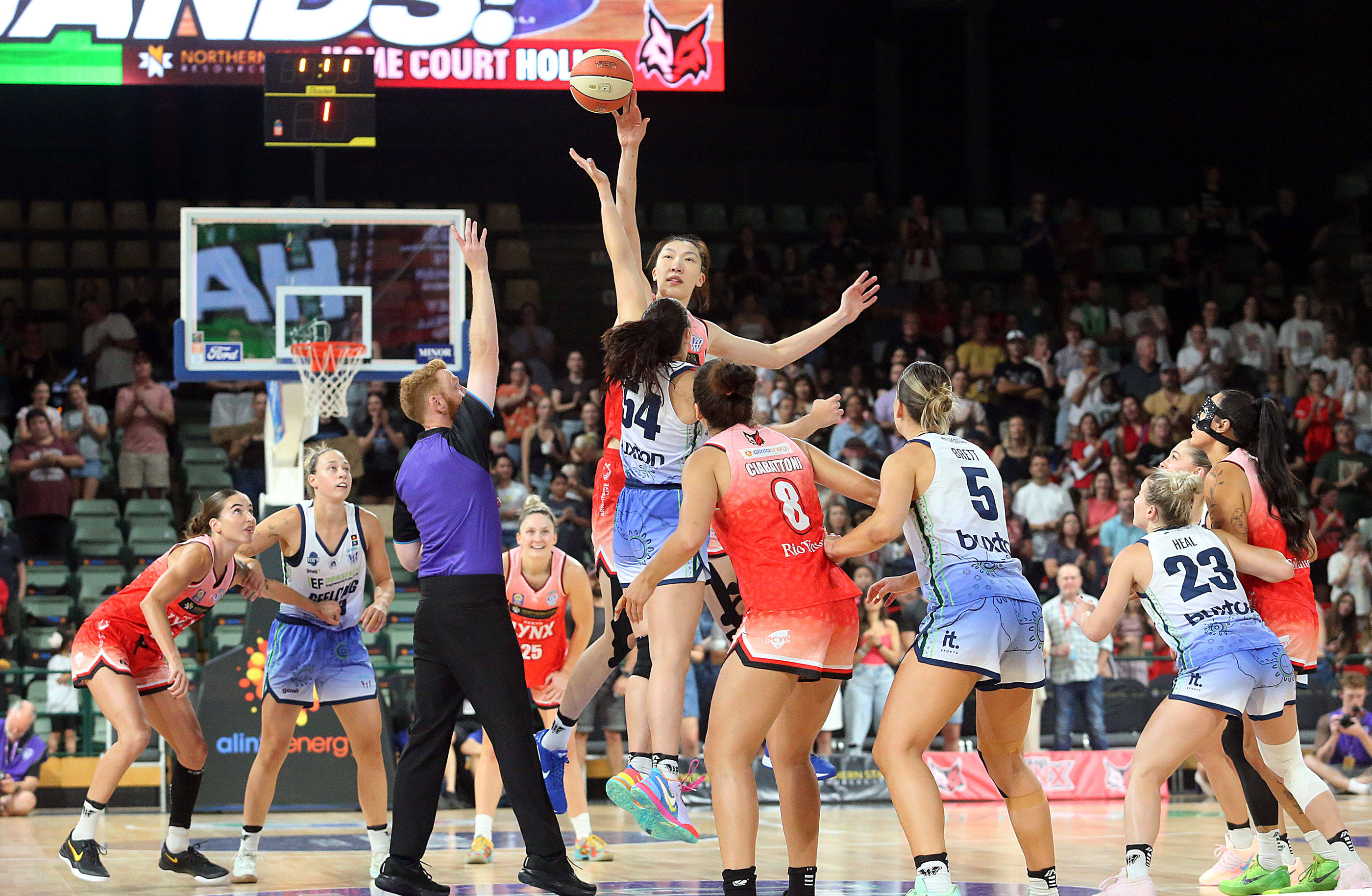 体育）篮球——澳大利亚女篮联赛：珀斯山猫